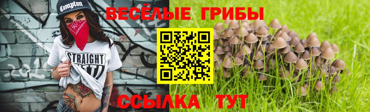 Кумертау  Галлюциногенные грибы GOLDEN TEACHER  Псилоцибиновые грибы прущие грибы  Вход с VPN 